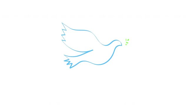 鳩と枝葉