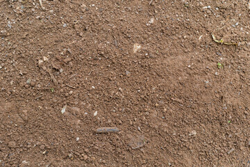 dirt Clay texture backdrop background