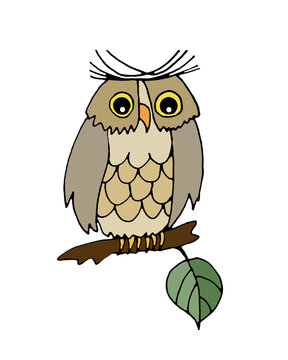Eagle owl sits on a branch, graphic color drawing on a white background