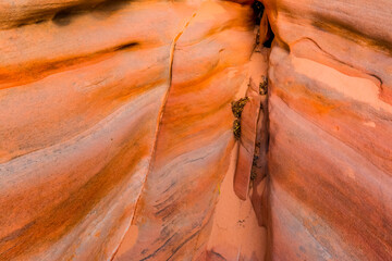 Colorful Swirling Patterns on The Wall of Pastel Canyon On The Kaolin Wash, Valley of Fire State...