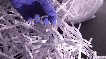 Police Forensics Technician In Blue Latex Gloves Investigating Shredded Confidential Documents...
