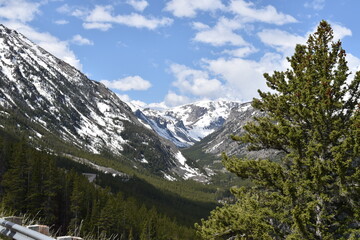 Fototapeta na wymiar Beartooth Pass Montana