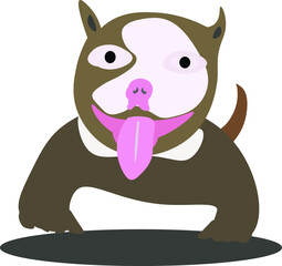 American bully dog cute on white background