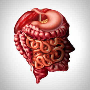 Psychology of digestion and human digestive gut brain connection concept as a liver pancreas with a stomach and large intestine and small intestines