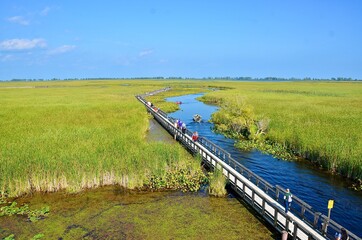 Aerial view of Point Pelee National Park, at the southernmost point of the Canadian mainland, to...