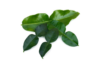 Kaffir lime leaves(Citrus hystrix) on white background.