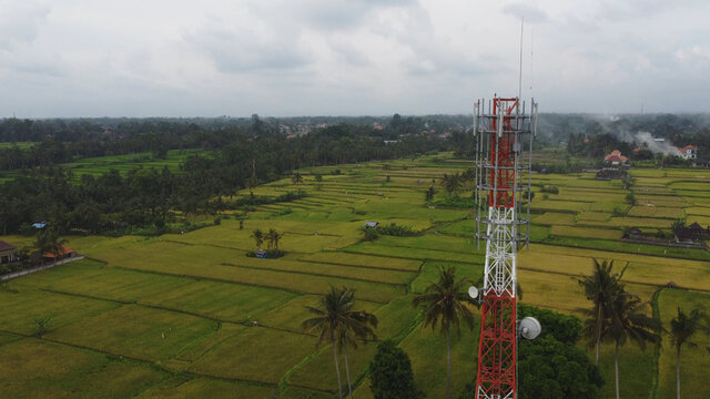5g tower at sunset with green rice field wild nature country side telecom smartphone data internet gms lte global network