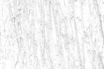 White wooden board texture background. Surface white wood wall texture for background.