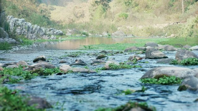 Rio de la comunidad de Ajajalpan en el municipio de Zacatlan en M&eacute;xico. Es un r&iacute;o virgen localizado hasta abajo de los cerros.