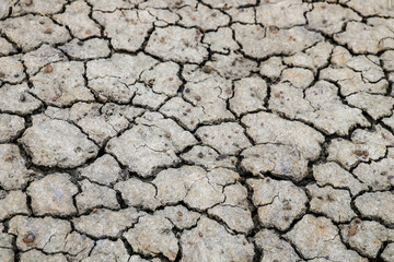 The ground was cracked due to drought.