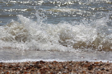 Shell seashore. Dirty sea.The waves.