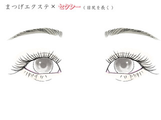 Fototapeta premium まつげエクステ_パターン別イラスト