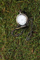 a vintage pocket watch on green grass