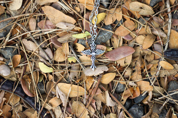 wing necklace on autumn dry leaves