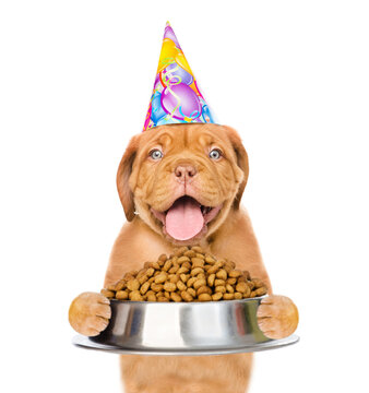 Hungry puppy with open mouth wearing a party hat holds  bowl of dry dog food. isolated on white background
