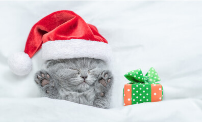 Cute kitten wearing red santa's hat sleeps with gift box under a white blanket on a bed. Top down...