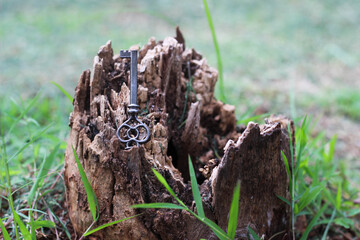 small vintage key on a broken tree bark