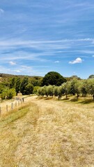 landscape in the countryside