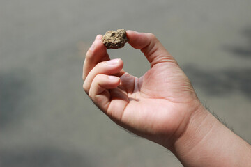 hand holding a piece of rock © dennys