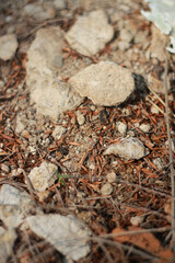 nature, dry soil, rocks, pebbles