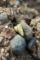 Fototapeta na wymiar close up of stones on natural dirt