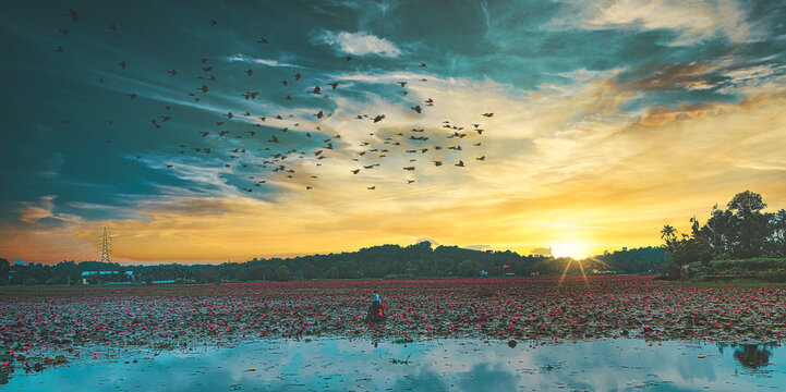 Beautiful Kerala Landscape