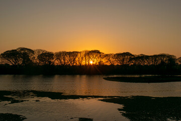 sun rising in lake