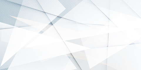 Abstract grey hi-tech polygonal corporate background. Abstract white and grey on light silver background modern design. Vector illustration