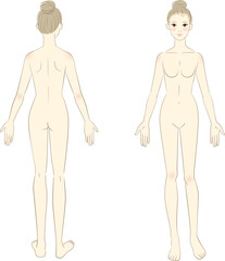 Female body illustration front / back