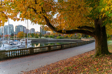 Sunrise in Stanley Park in fall