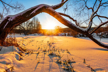 Scene of a beautiful sunset at frozen valley river covered with snow with trees with amazing sun rays and glow at winter season