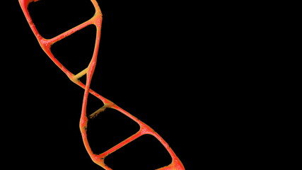 DNA helix gene isolated. A macromolecule that stores the genetic program.