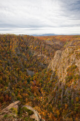 Blick in das Bodetal Harz