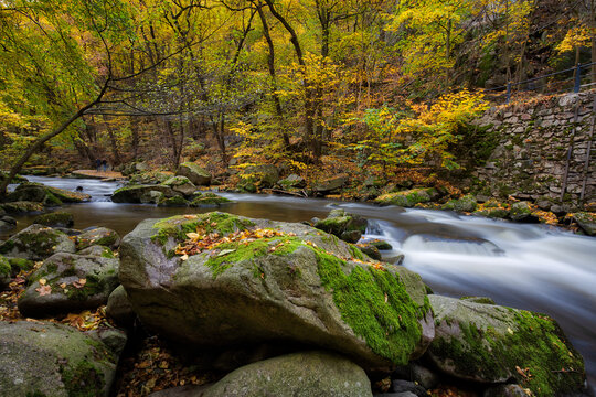 Flusslandschaft die Bode im Harz