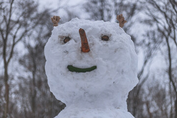 Winter Park. Walking around the city. Winter landscape in Ukraine. White snow in the city park....