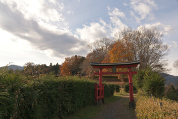 城山稲荷神社　参道の鳥居（埼玉県大里郡寄居町）