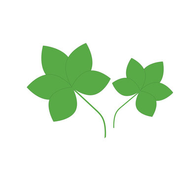 leaf clover isolated on white, vector illustration for St. Patrick's day
