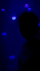 Female Silhouette with Blue Jellyfish - Neon lighting - Aquarium - Headshot