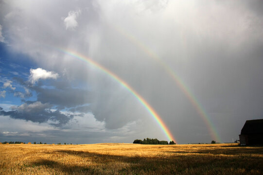 rainbow over field © Katsiaryna Lazuka