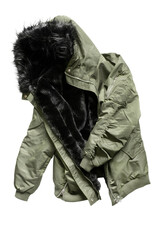 Winter jacket isolated © Tarzhanova