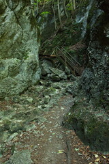 Obraz premium Hiking track in Steinwandklamm, Lower Austria, Austria, Europe 