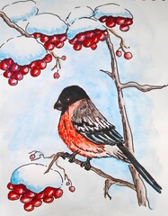 Winter bird on the tree