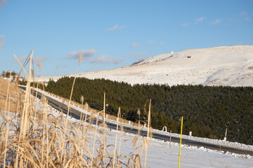 真冬の霧ケ峰高原　ビーナスラインの景色