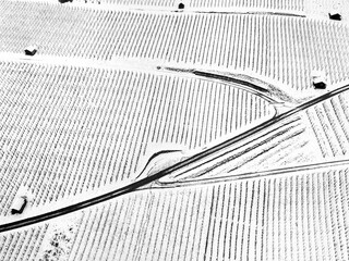 Aerial image of vineyards under the snow with tool houses in winter season