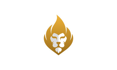 Creative Vector Illustration Logo Design. Lion Head on Fire Concept.