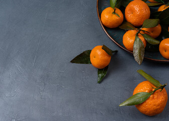 Ripe mini orange textured tangerine in a glaze plate on a grey background