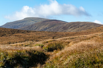 Irish mountain landscape with golden grass under blue sky