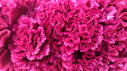 pink tinsel in bizarre shapes