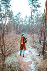 Obraz premium Asian hiker woman trekking in forest.