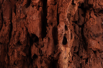 vertical holes and cracks in shabby wood